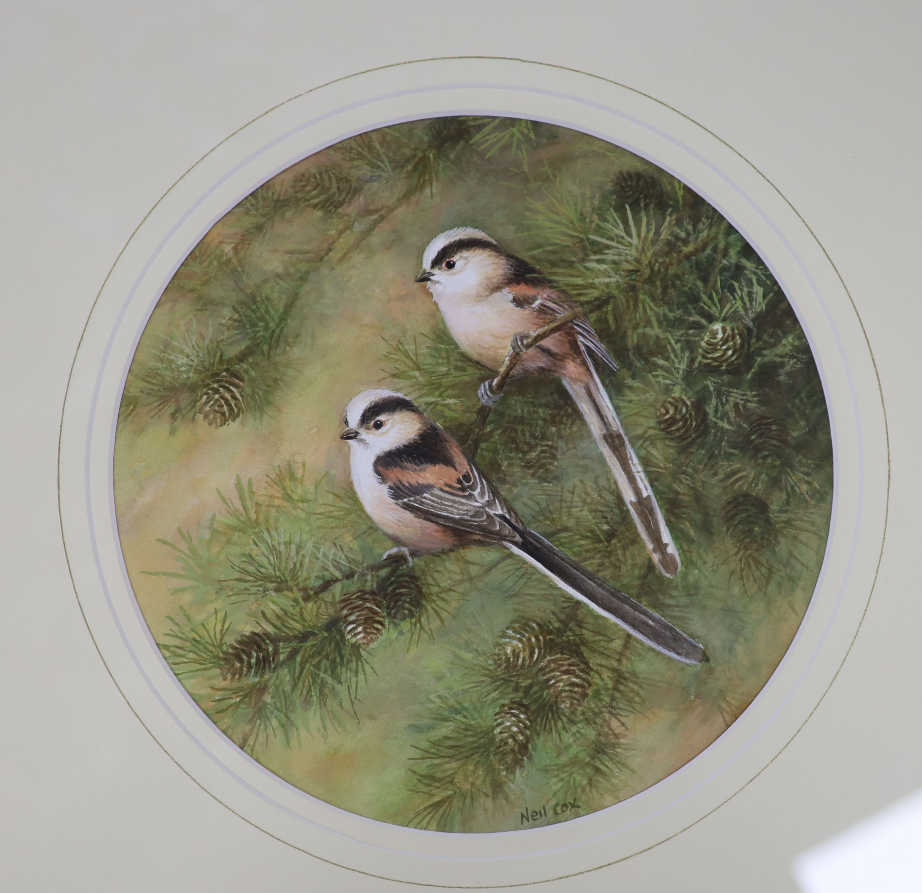 G Kirby (b.1912) gouache, Puffins, signed, 26 x 21cm. And a Neil Cox (1955-), watercolour of long-tailed tits, to do, 22cm.